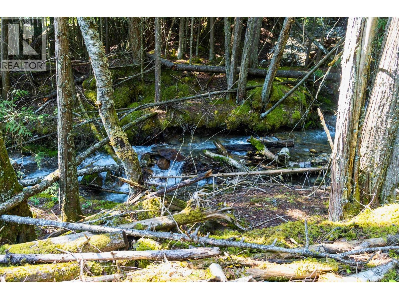 Sunnybrae Canoe Point Road, Tappen, British Columbia  V0E 2X0 - Photo 17 - 10377718