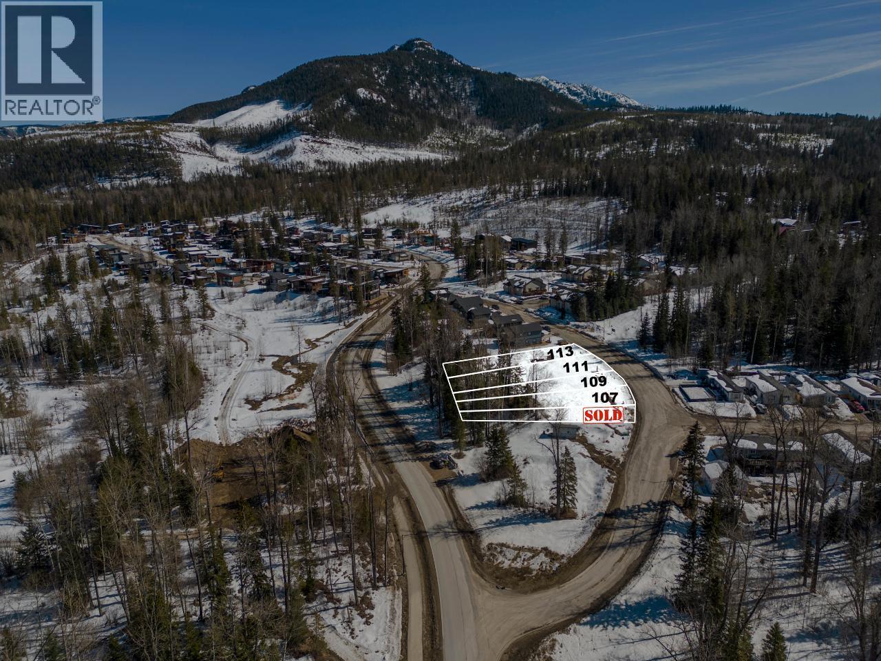 107 Whitetail Drive, Fernie, British Columbia  V0B 1M1 - Photo 5 - 10377755