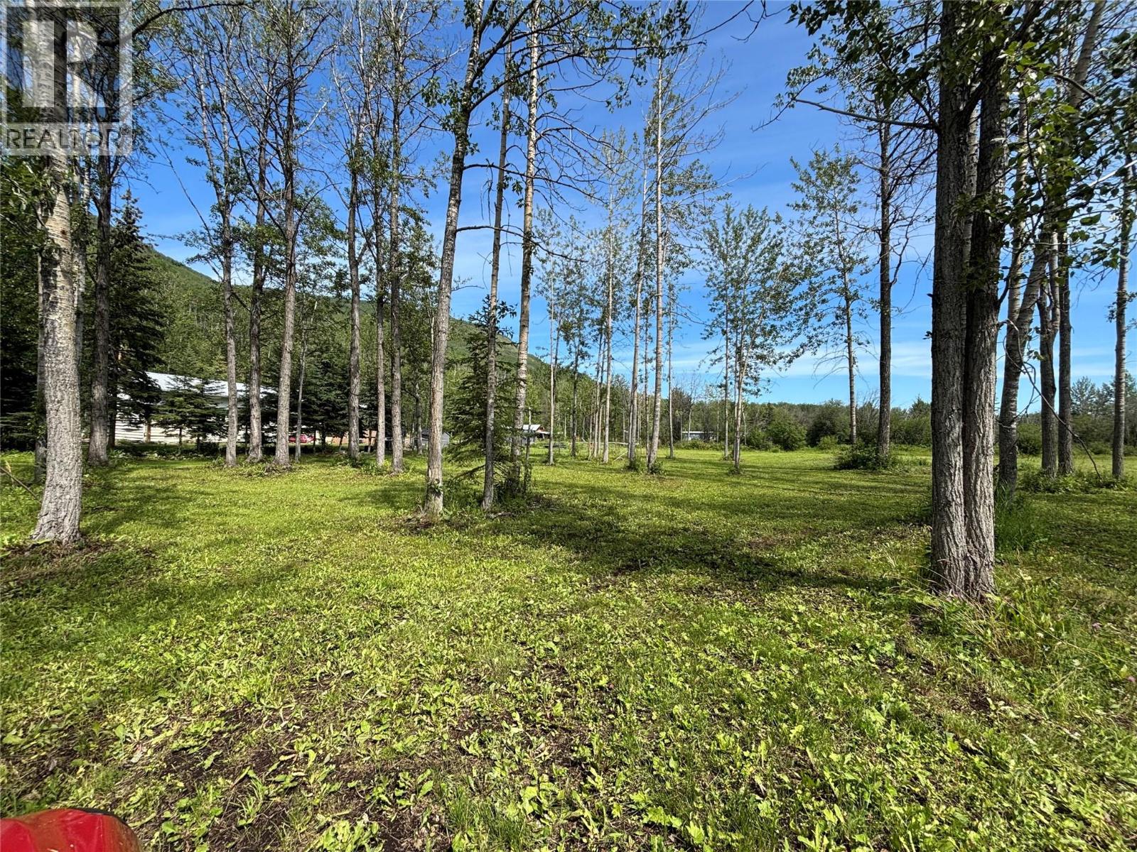 6379 Wildmare Subdivision, Chetwynd, British Columbia  V0C 1J0 - Photo 3 - 10377808