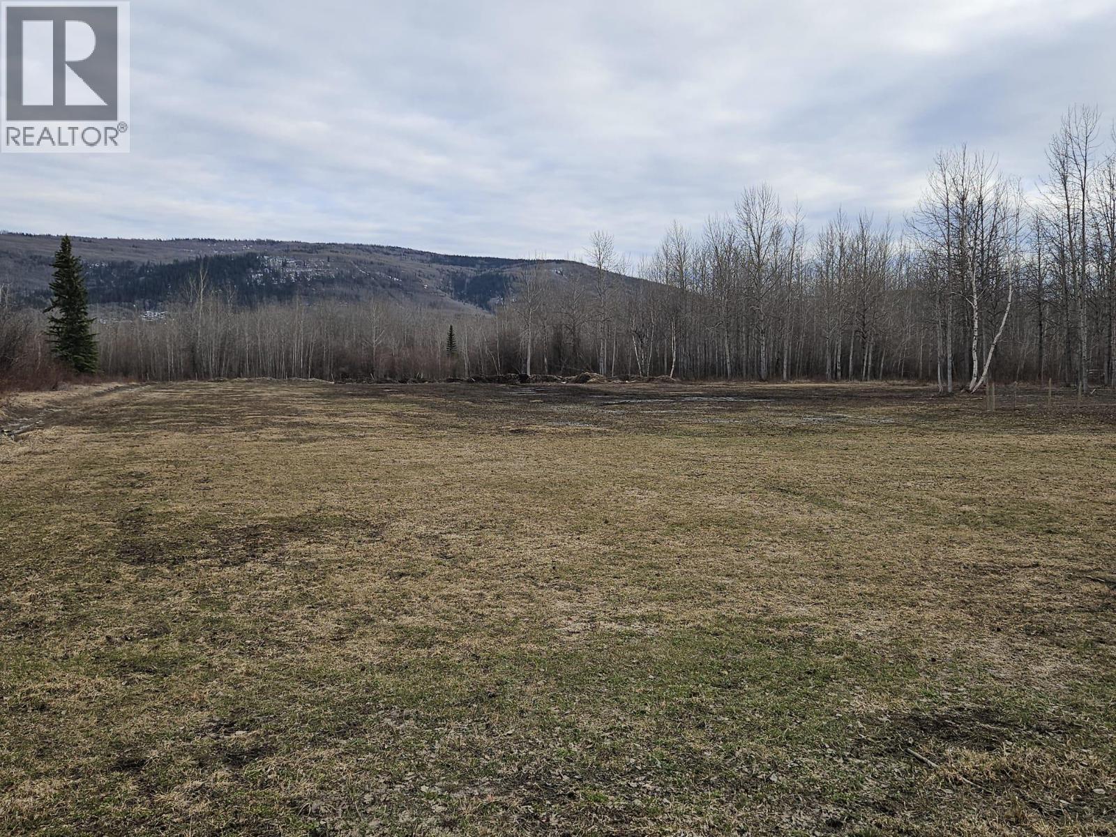 6379 Wildmare Subdivision, Chetwynd, British Columbia  V0C 1J0 - Photo 47 - 10377808