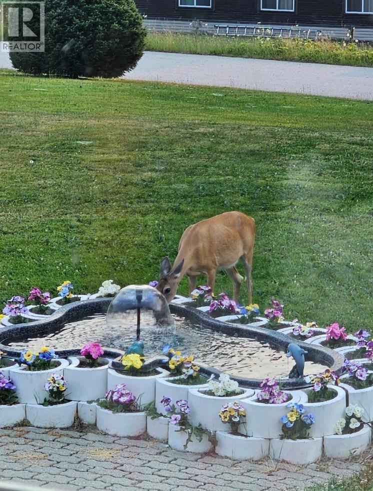 213 Burton School Road, Burton, British Columbia  V0G 1R0 - Photo 68 - 10377699