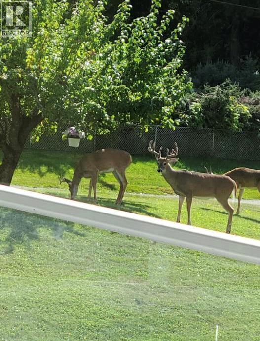 213 Burton School Road, Burton, British Columbia  V0G 1R0 - Photo 69 - 10377699