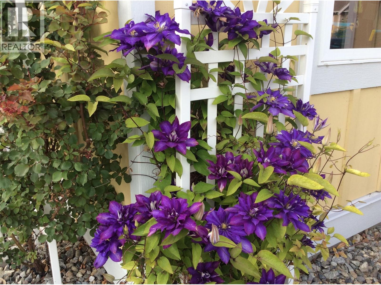 2450 Radio Tower Road Unit# 116, Oliver, British Columbia  V0H 1T1 - Photo 58 - 10377042