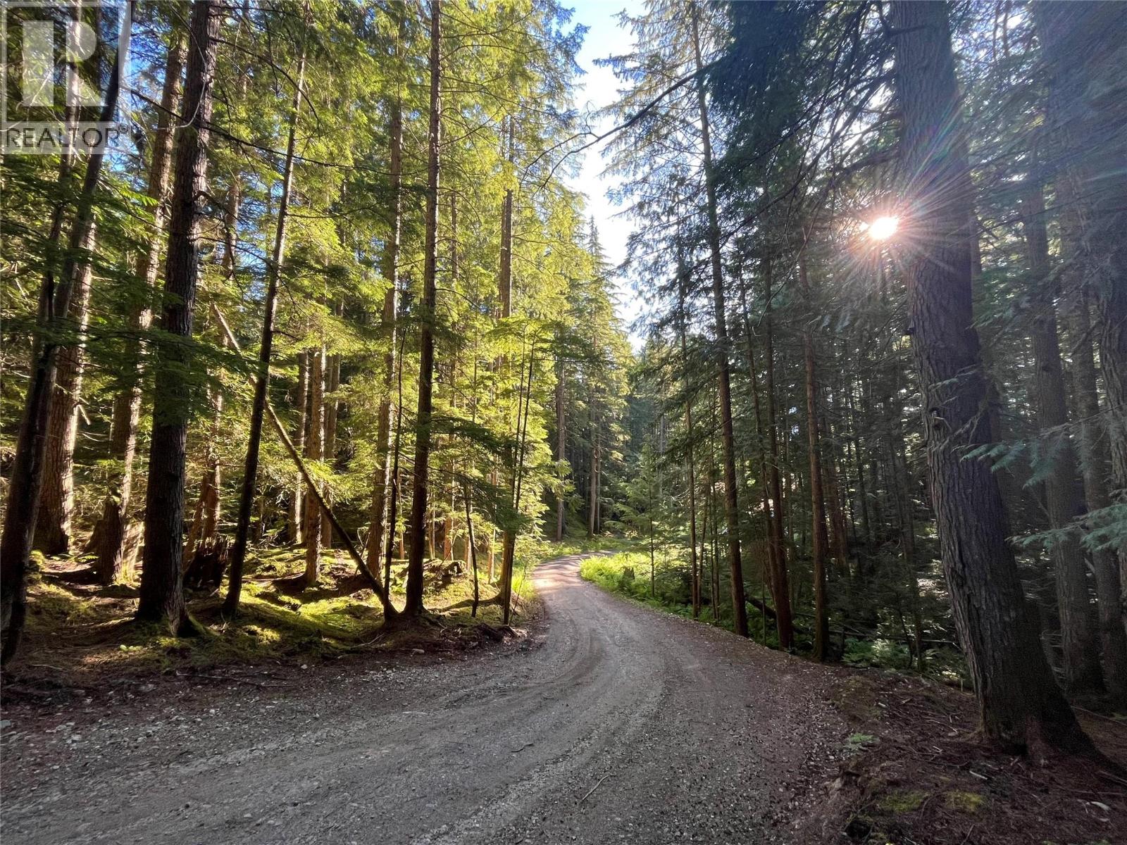 769 Beech Road, Nakusp, British Columbia  V0G 1R1 - Photo 1 - 10377888