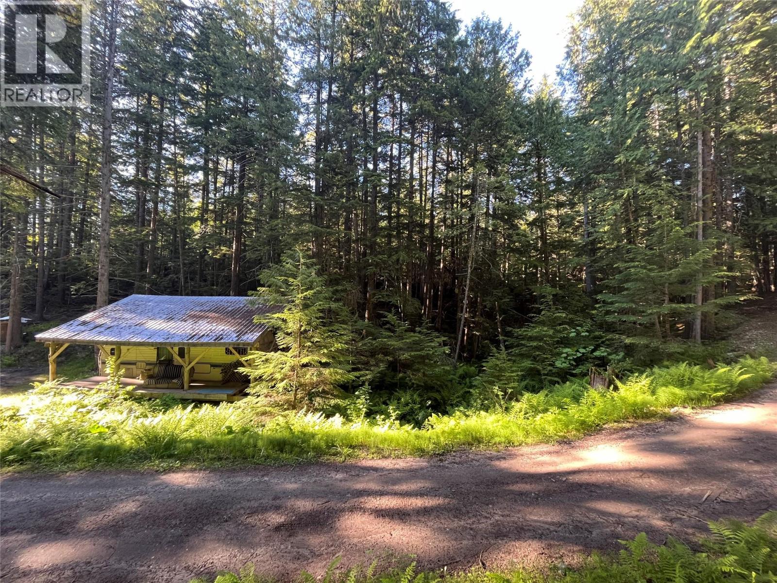 769 Beech Road, Nakusp, British Columbia  V0G 1R1 - Photo 10 - 10377888