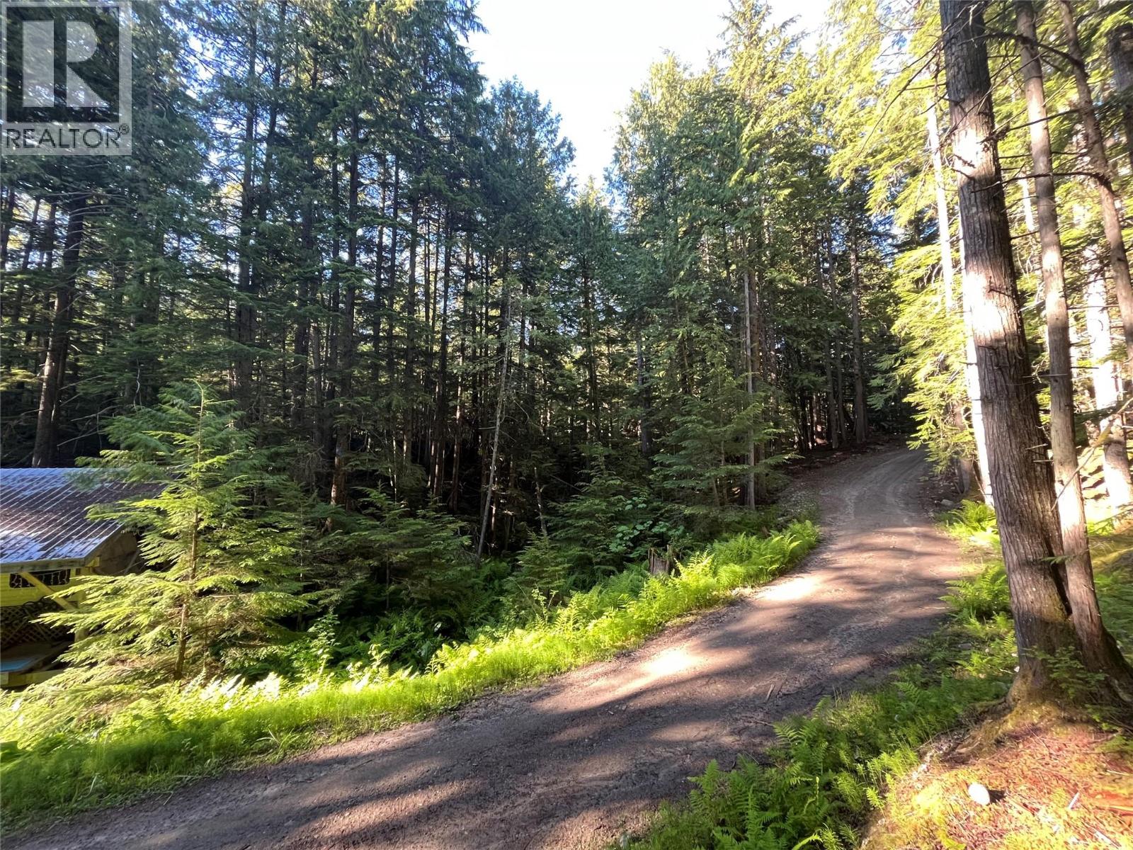 769 Beech Road, Nakusp, British Columbia  V0G 1R1 - Photo 11 - 10377888