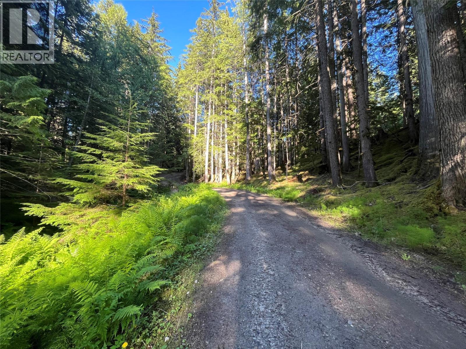 769 Beech Road, Nakusp, British Columbia  V0G 1R1 - Photo 12 - 10377888