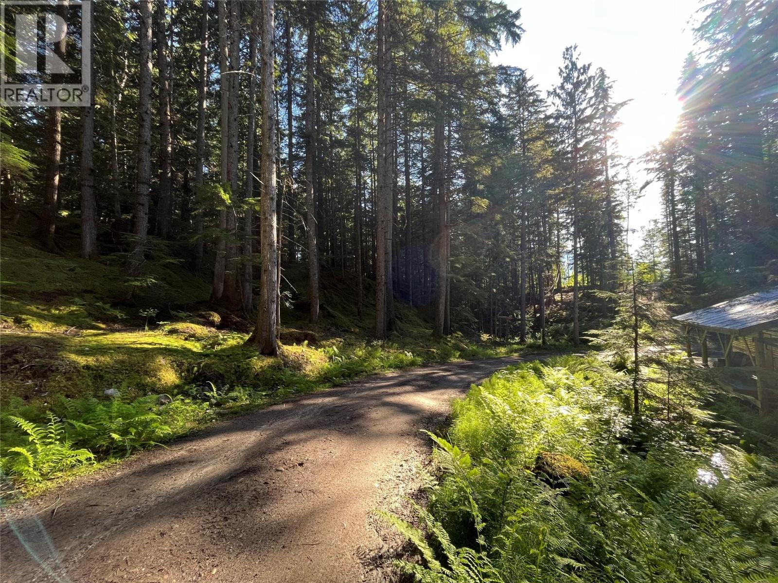 769 Beech Road, Nakusp, British Columbia  V0G 1R1 - Photo 13 - 10377888