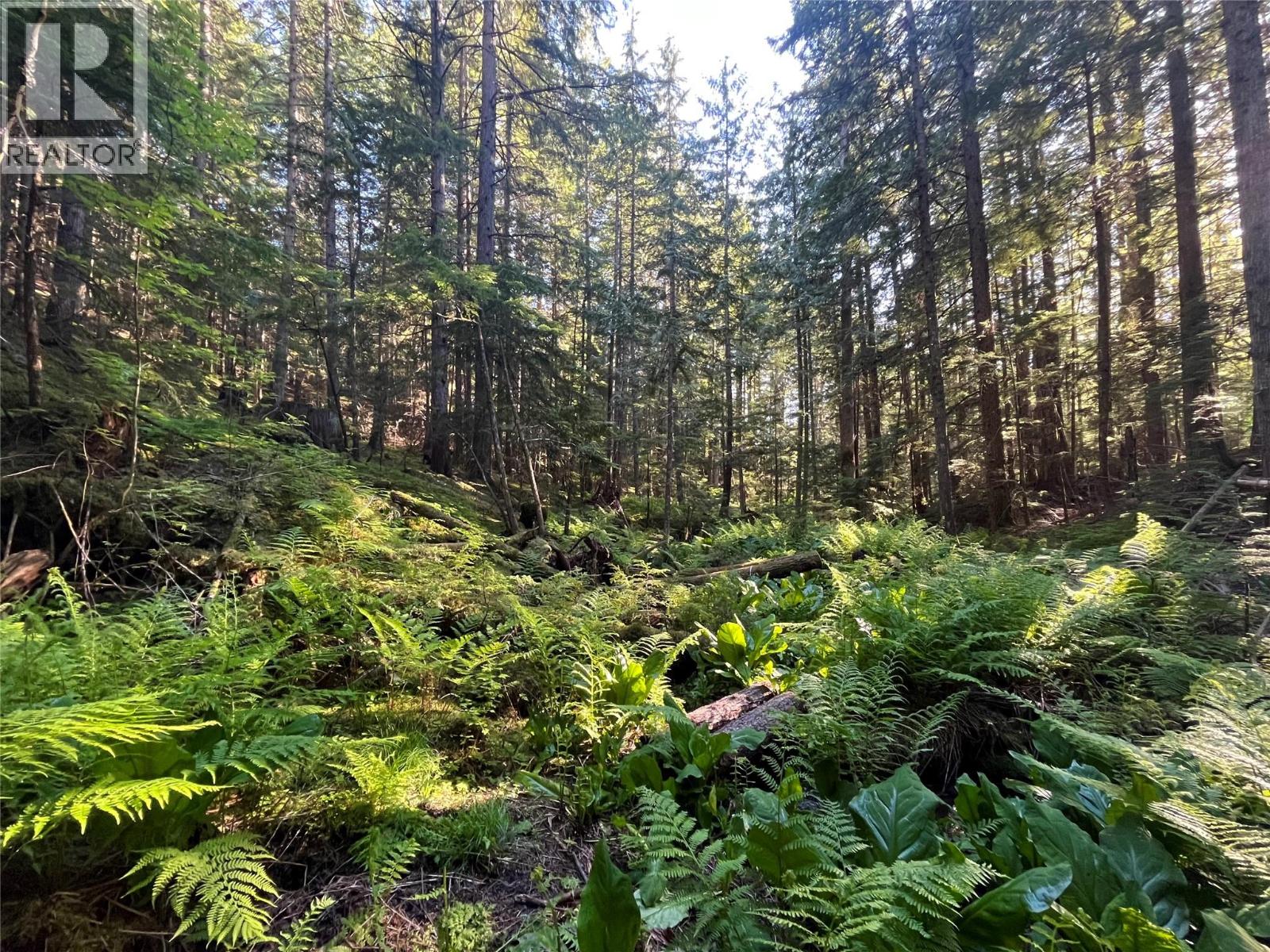769 Beech Road, Nakusp, British Columbia  V0G 1R1 - Photo 14 - 10377888