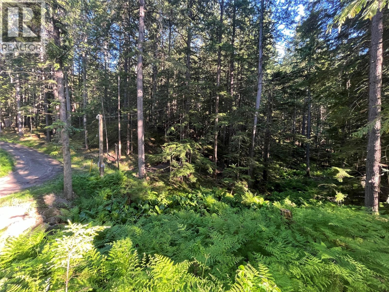 769 Beech Road, Nakusp, British Columbia  V0G 1R1 - Photo 16 - 10377888