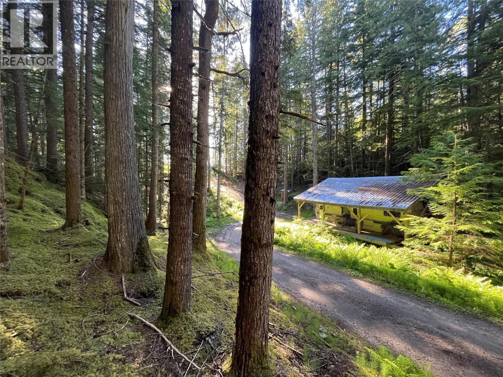 769 Beech Road, Nakusp, British Columbia  V0G 1R1 - Photo 2 - 10377888