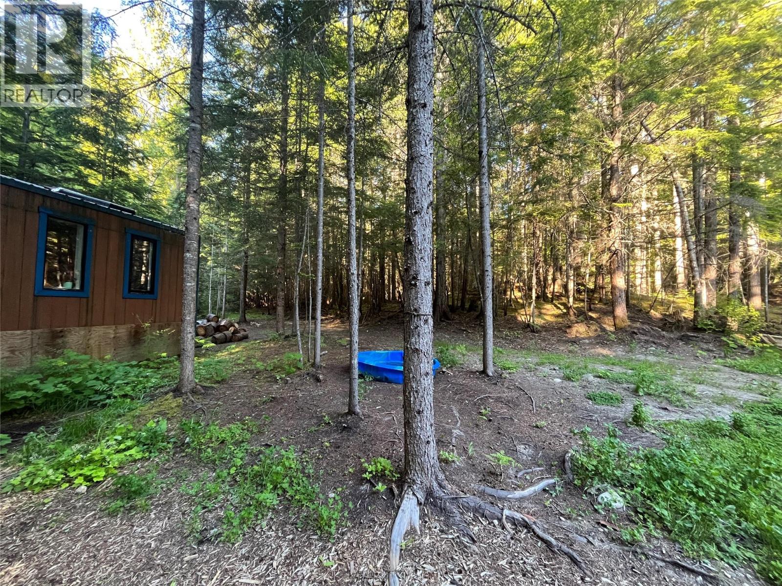 769 Beech Road, Nakusp, British Columbia  V0G 1R1 - Photo 20 - 10377888