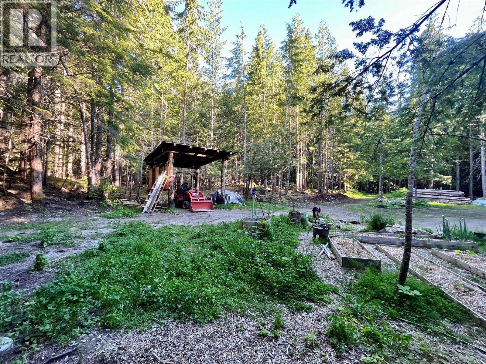 769 Beech Road, Nakusp, British Columbia  V0G 1R1 - Photo 24 - 10377888