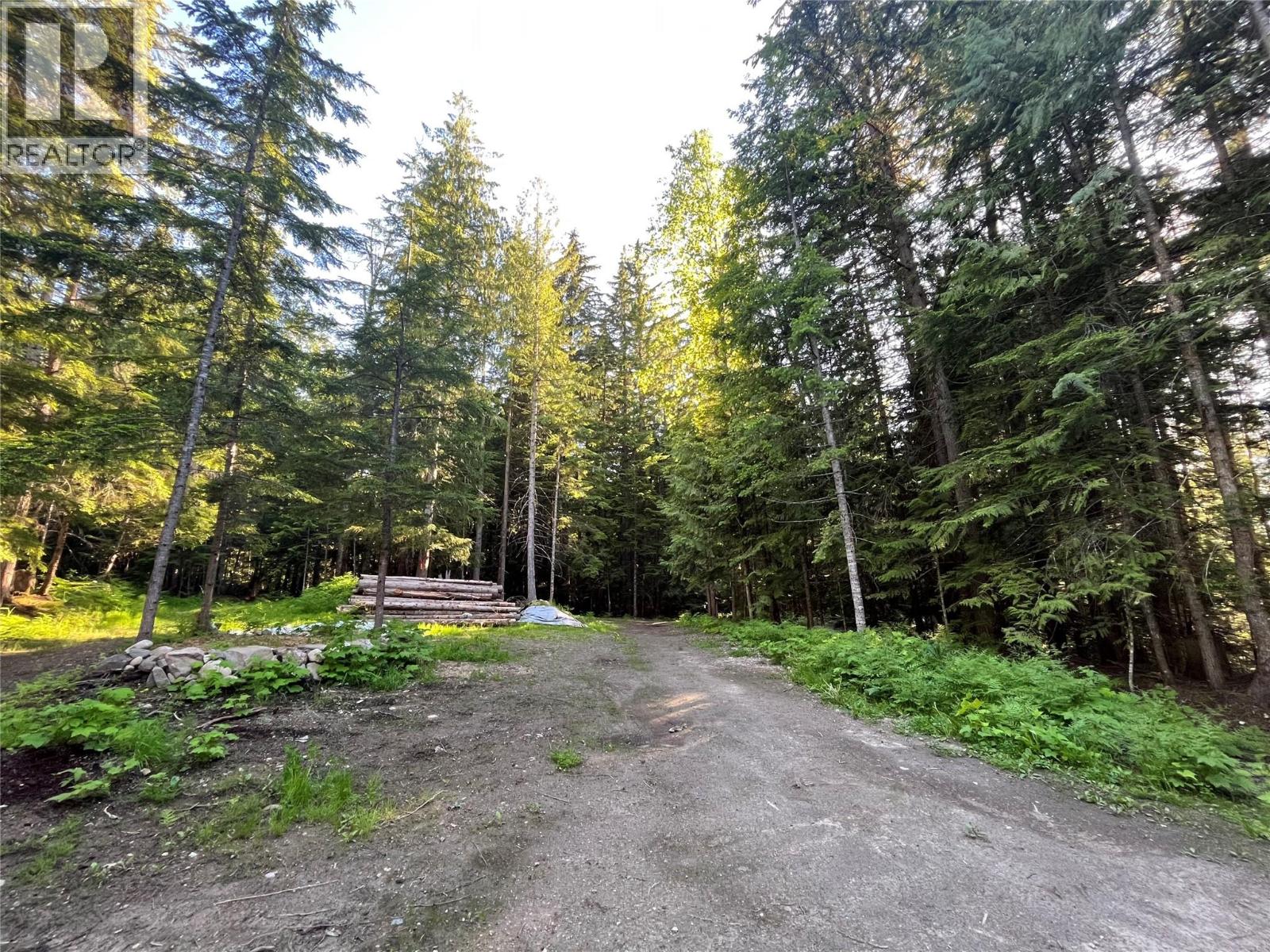 769 Beech Road, Nakusp, British Columbia  V0G 1R1 - Photo 25 - 10377888