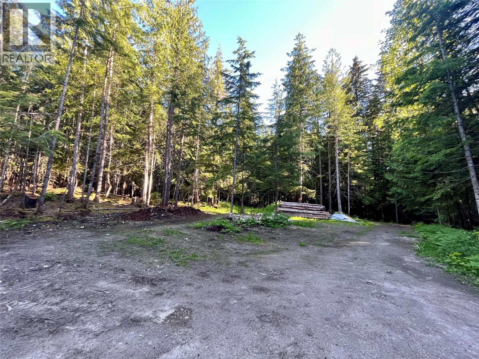 769 Beech Road, Nakusp, British Columbia  V0G 1R1 - Photo 26 - 10377888