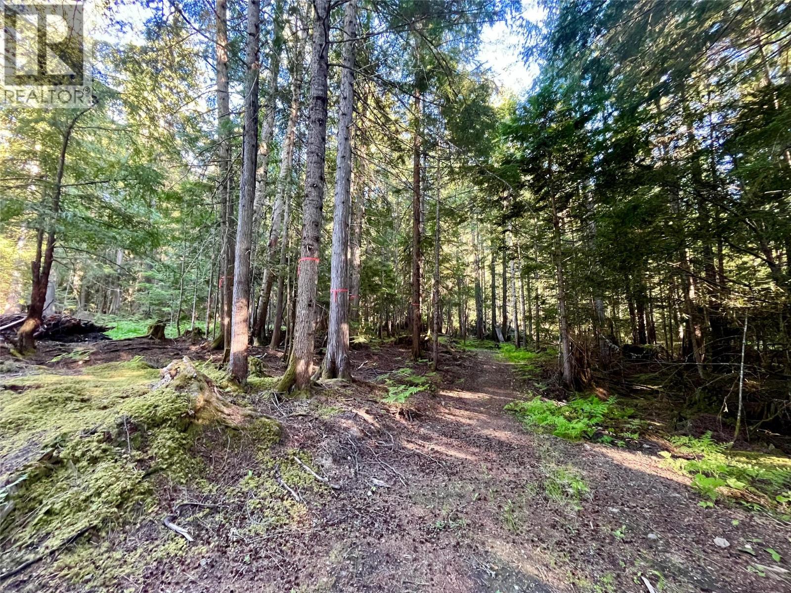 769 Beech Road, Nakusp, British Columbia  V0G 1R1 - Photo 27 - 10377888