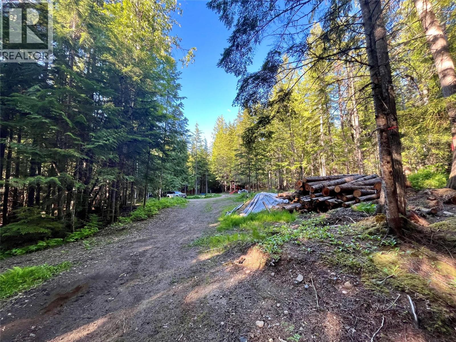 769 Beech Road, Nakusp, British Columbia  V0G 1R1 - Photo 28 - 10377888