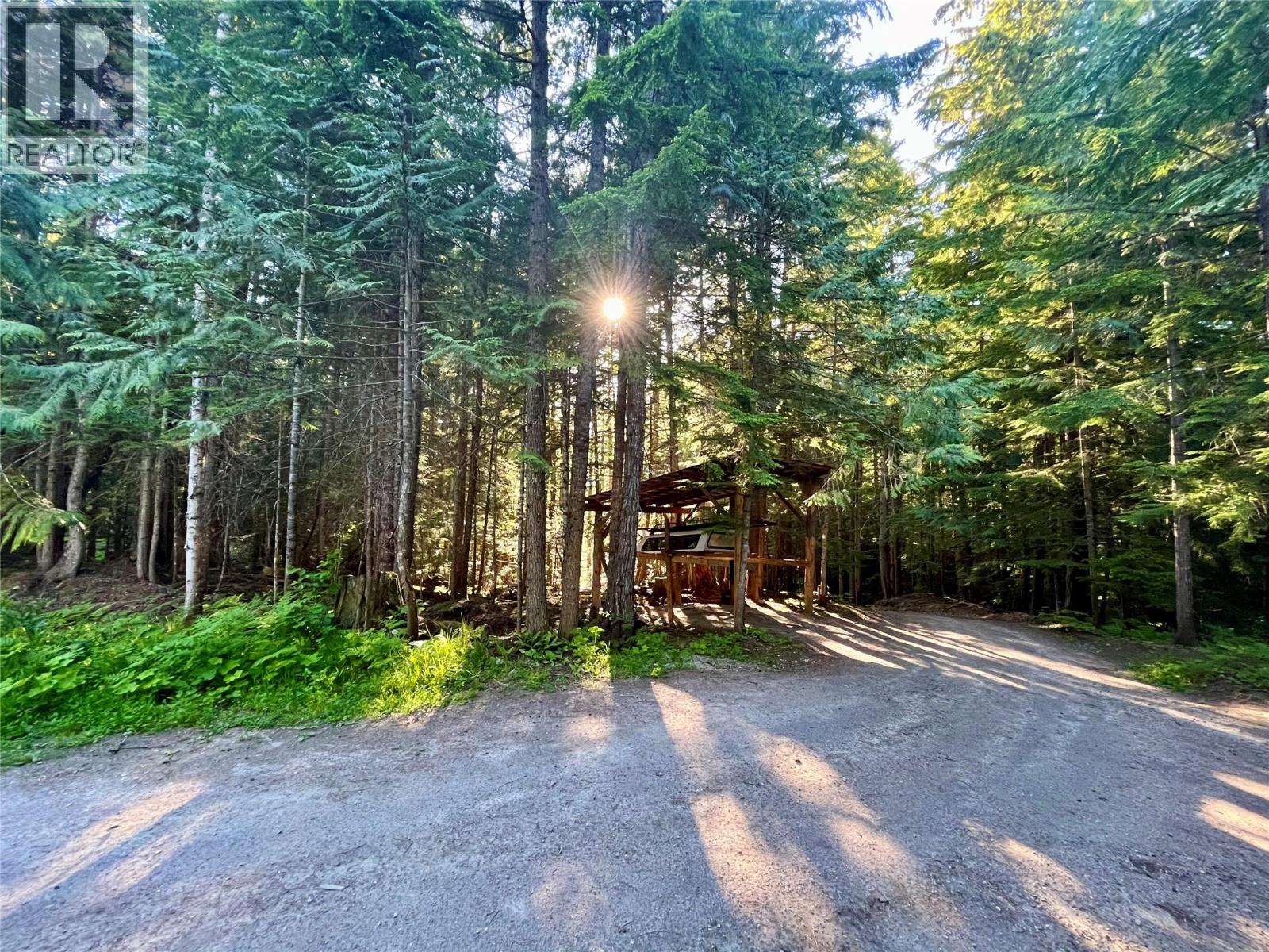 769 Beech Road, Nakusp, British Columbia  V0G 1R1 - Photo 3 - 10377888