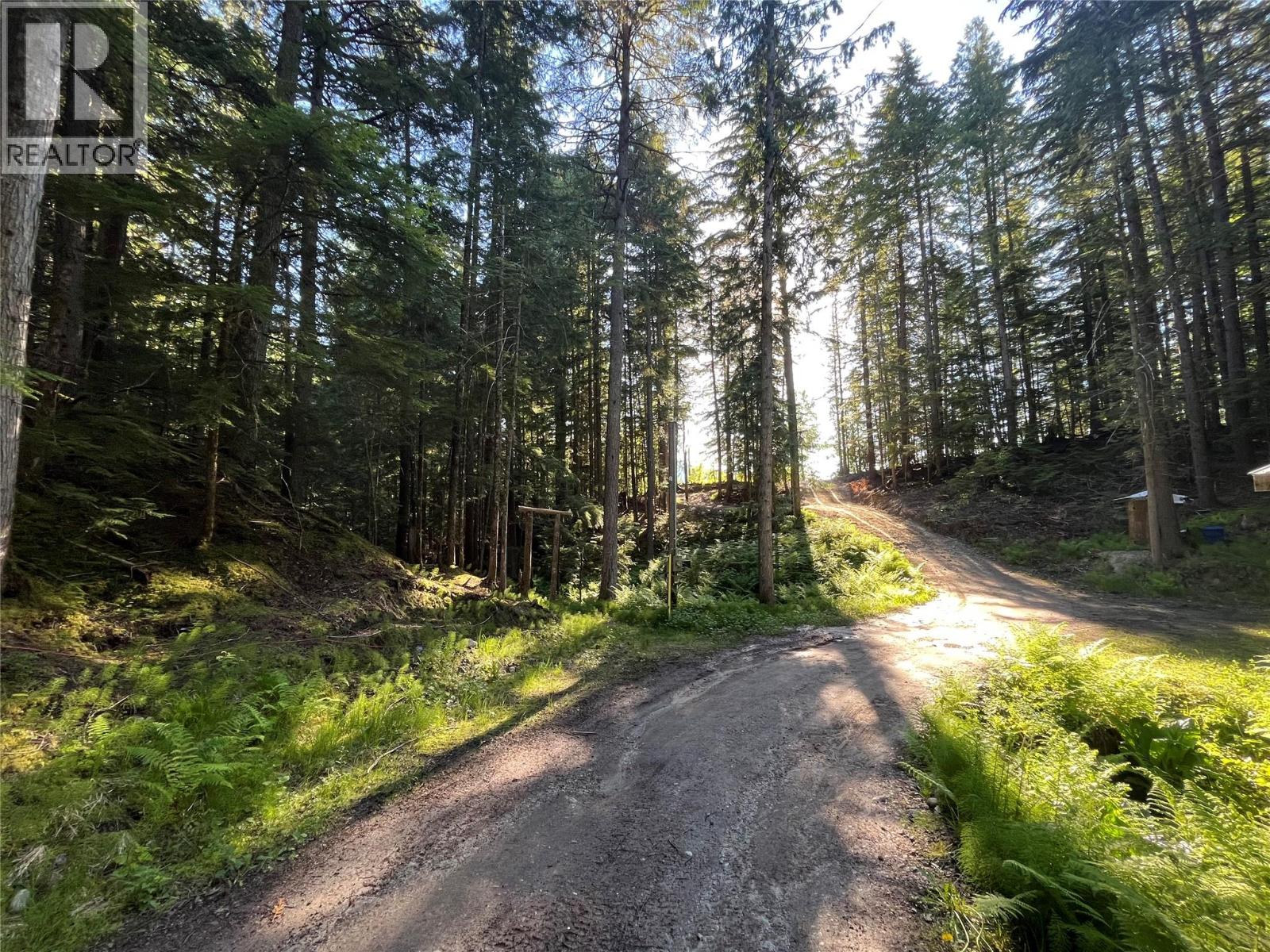 769 Beech Road, Nakusp, British Columbia  V0G 1R1 - Photo 6 - 10377888