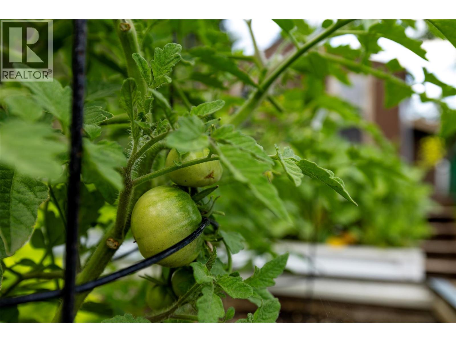 16904 Gatzke Road, Lake Country, British Columbia  V4V 2J1 - Photo 60 - 10377416