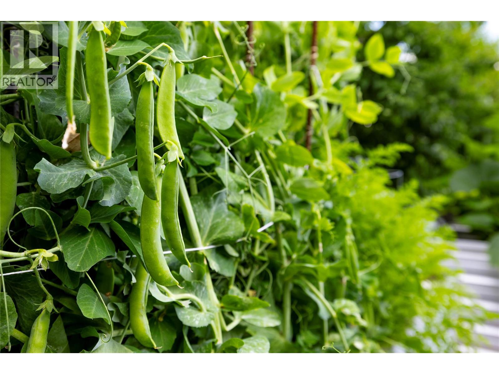 16904 Gatzke Road, Lake Country, British Columbia  V4V 2J1 - Photo 61 - 10377416