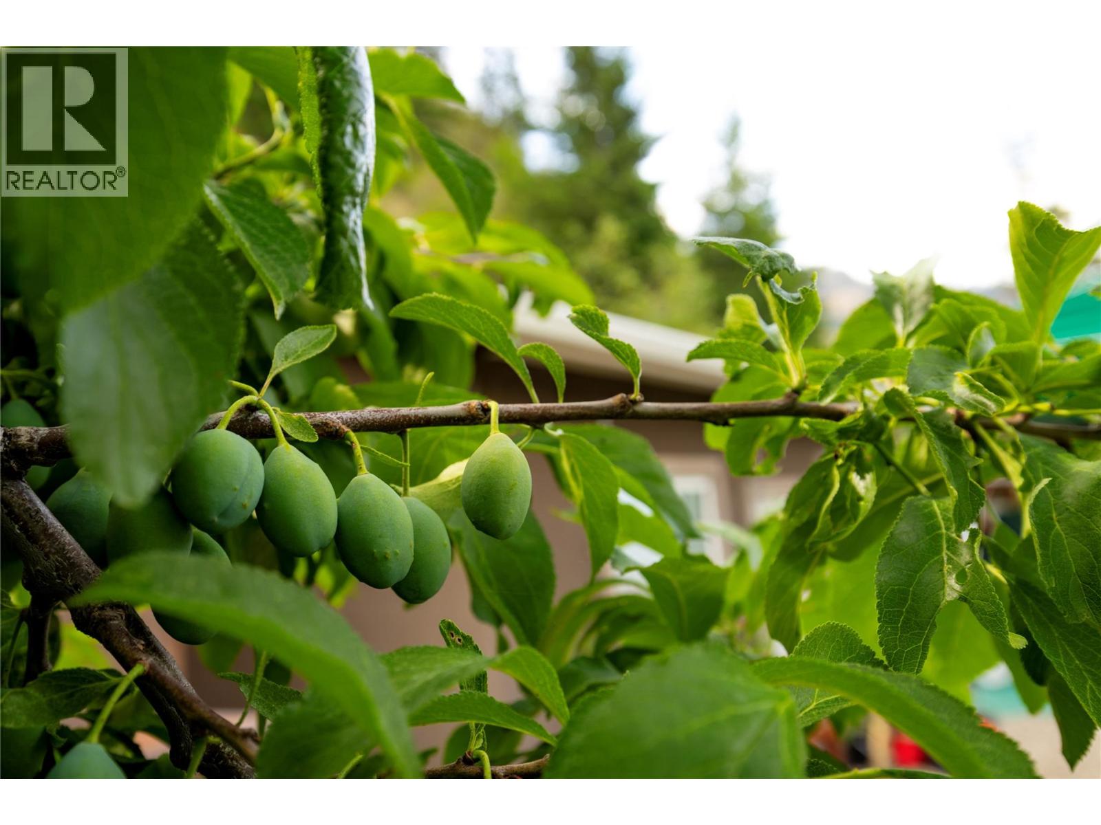 16904 Gatzke Road, Lake Country, British Columbia  V4V 2J1 - Photo 62 - 10377416