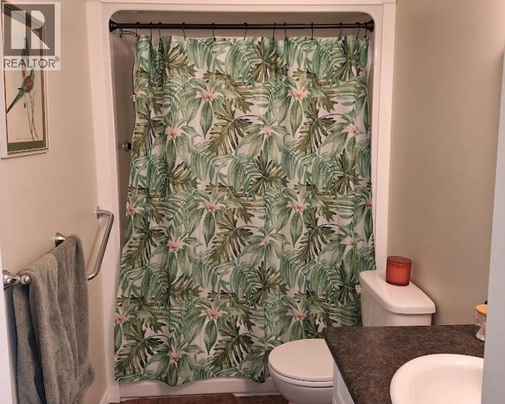 328 Dunlevy Road, Clearwater, British Columbia  V0E 1N1 - Photo 25 - 10377873