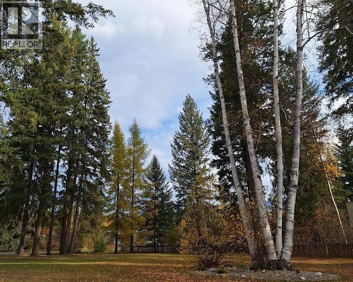 328 Dunlevy Road, Clearwater, British Columbia  V0E 1N1 - Photo 37 - 10377873