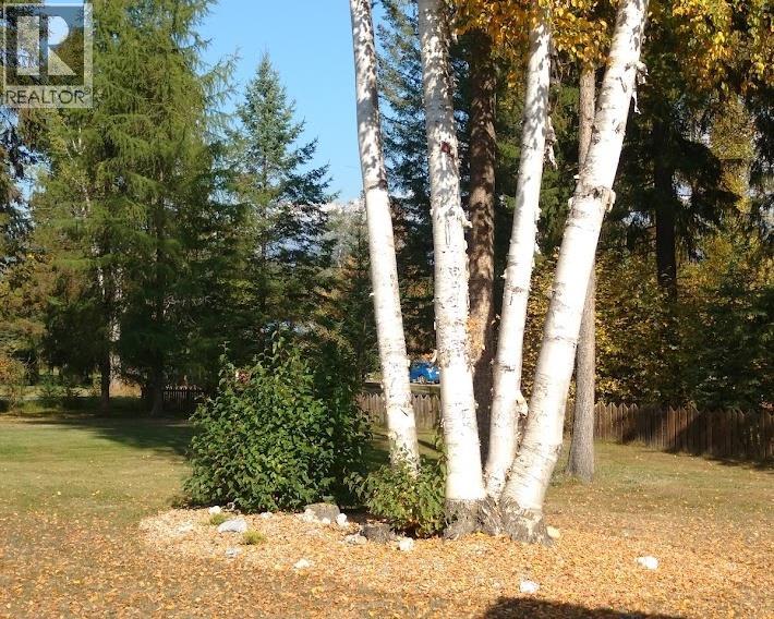 328 Dunlevy Road, Clearwater, British Columbia  V0E 1N1 - Photo 54 - 10377873