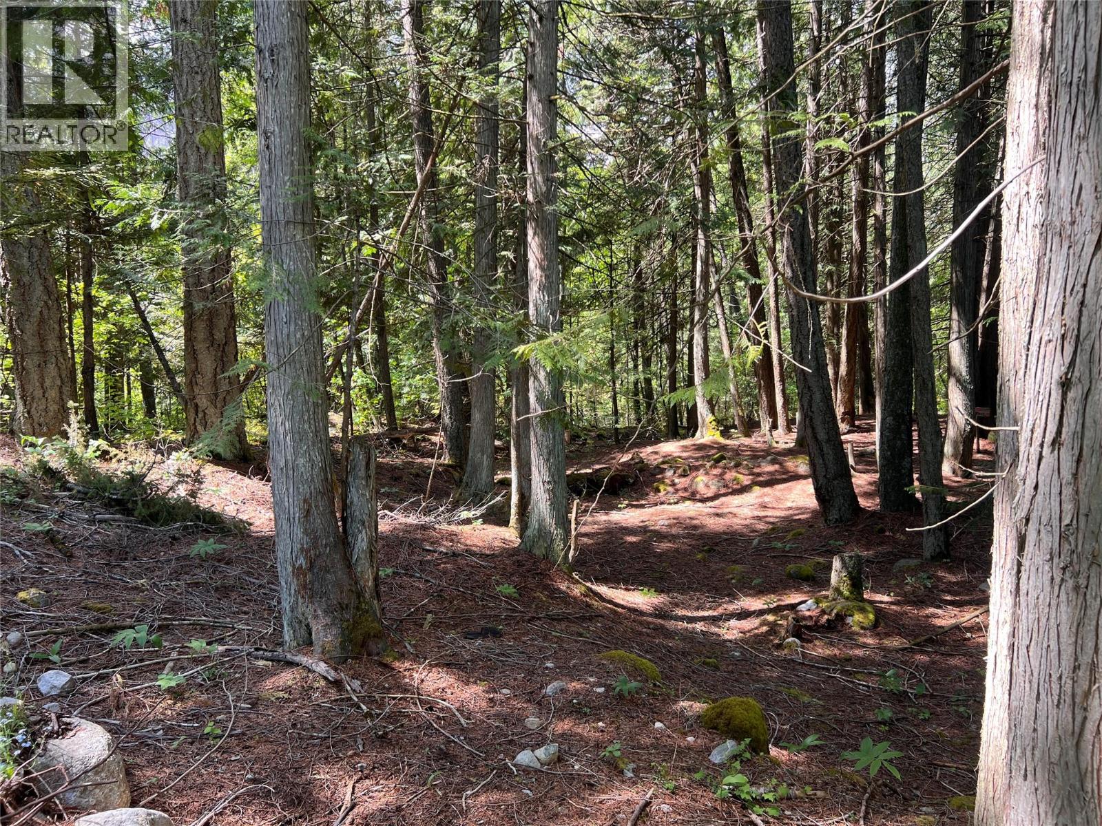 611 Slocan Street, Slocan, British Columbia  V0G 2C0 - Photo 5 - 10377904