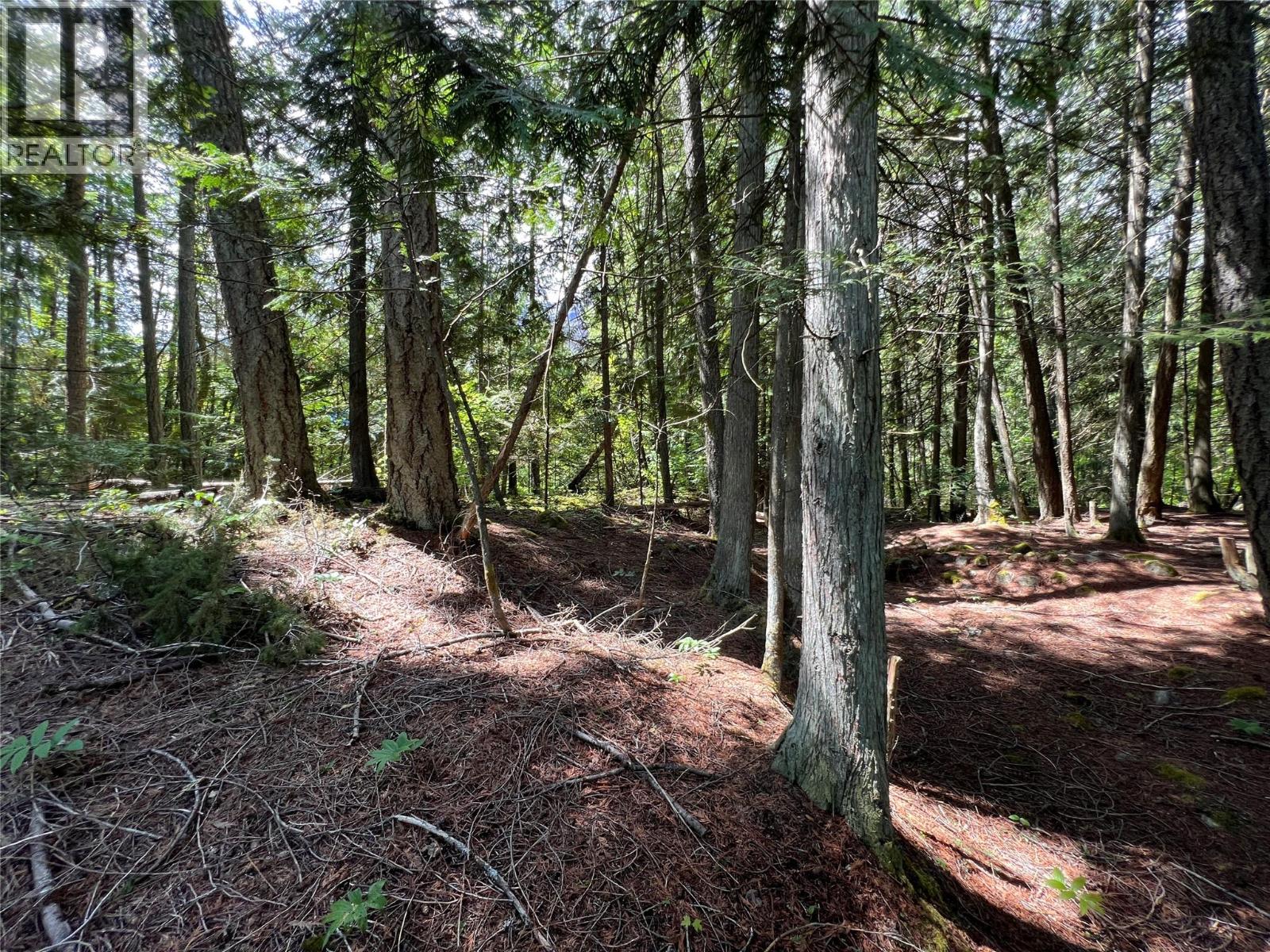 611 Slocan Street, Slocan, British Columbia  V0G 2C0 - Photo 6 - 10377904