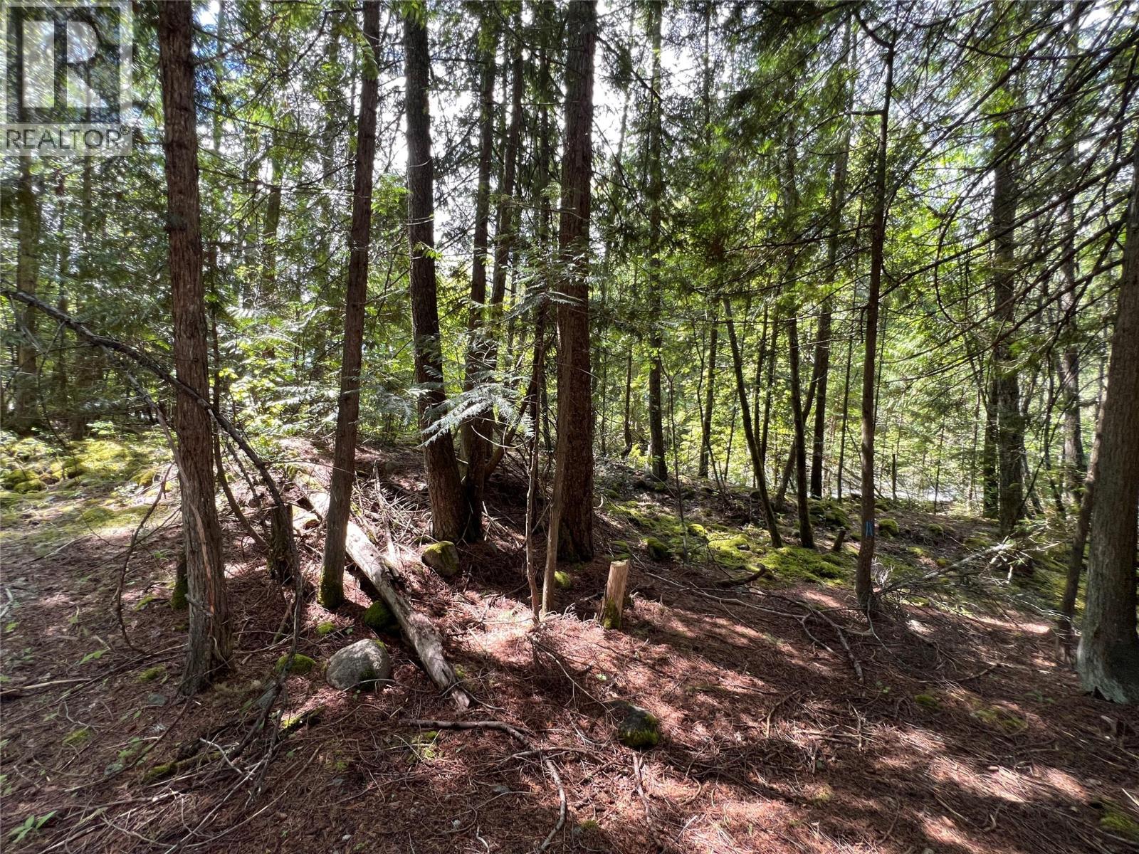 611 Slocan Street, Slocan, British Columbia  V0G 2C0 - Photo 7 - 10377904