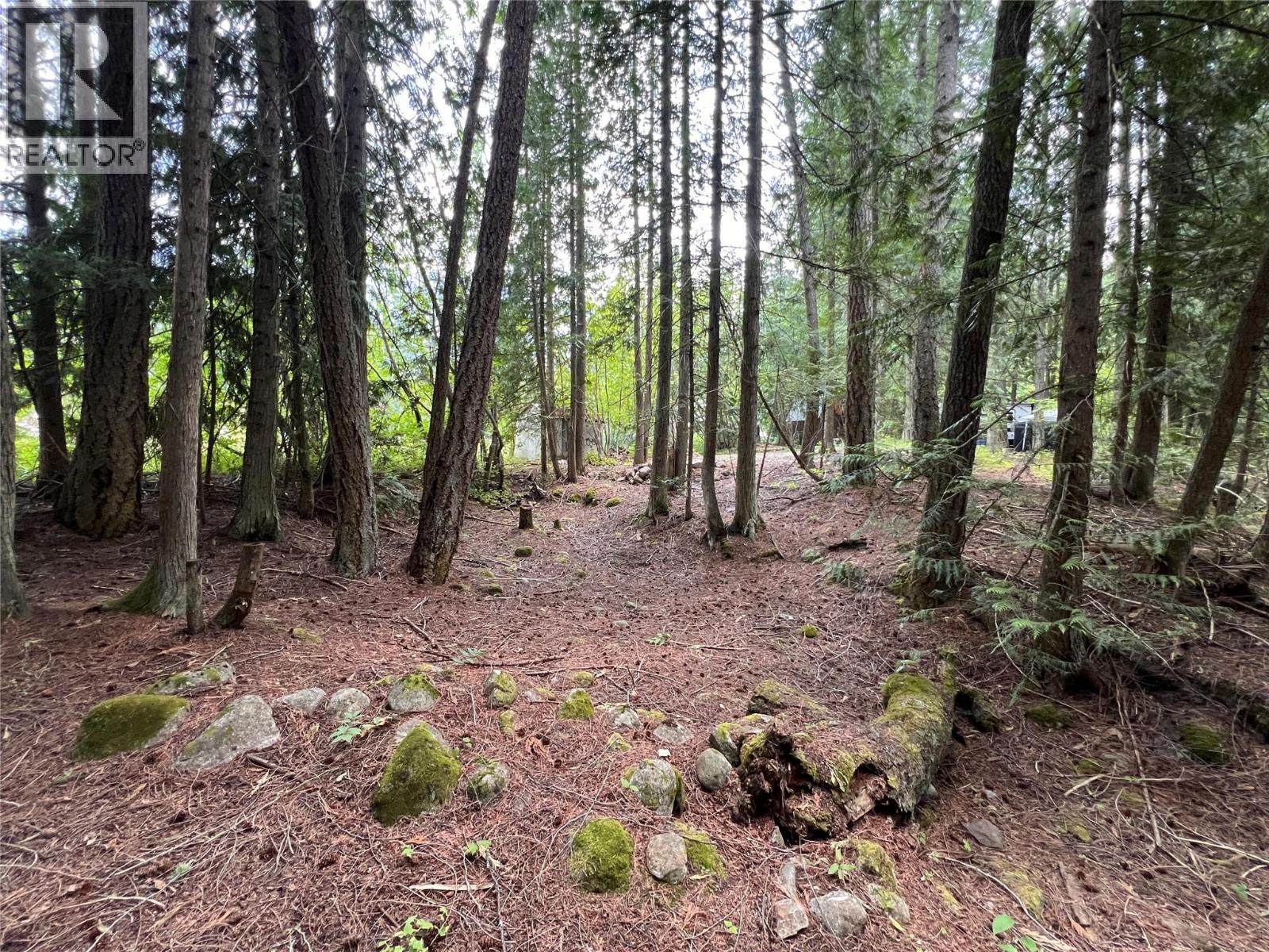 611 Slocan Street, Slocan, British Columbia  V0G 2C0 - Photo 8 - 10377904