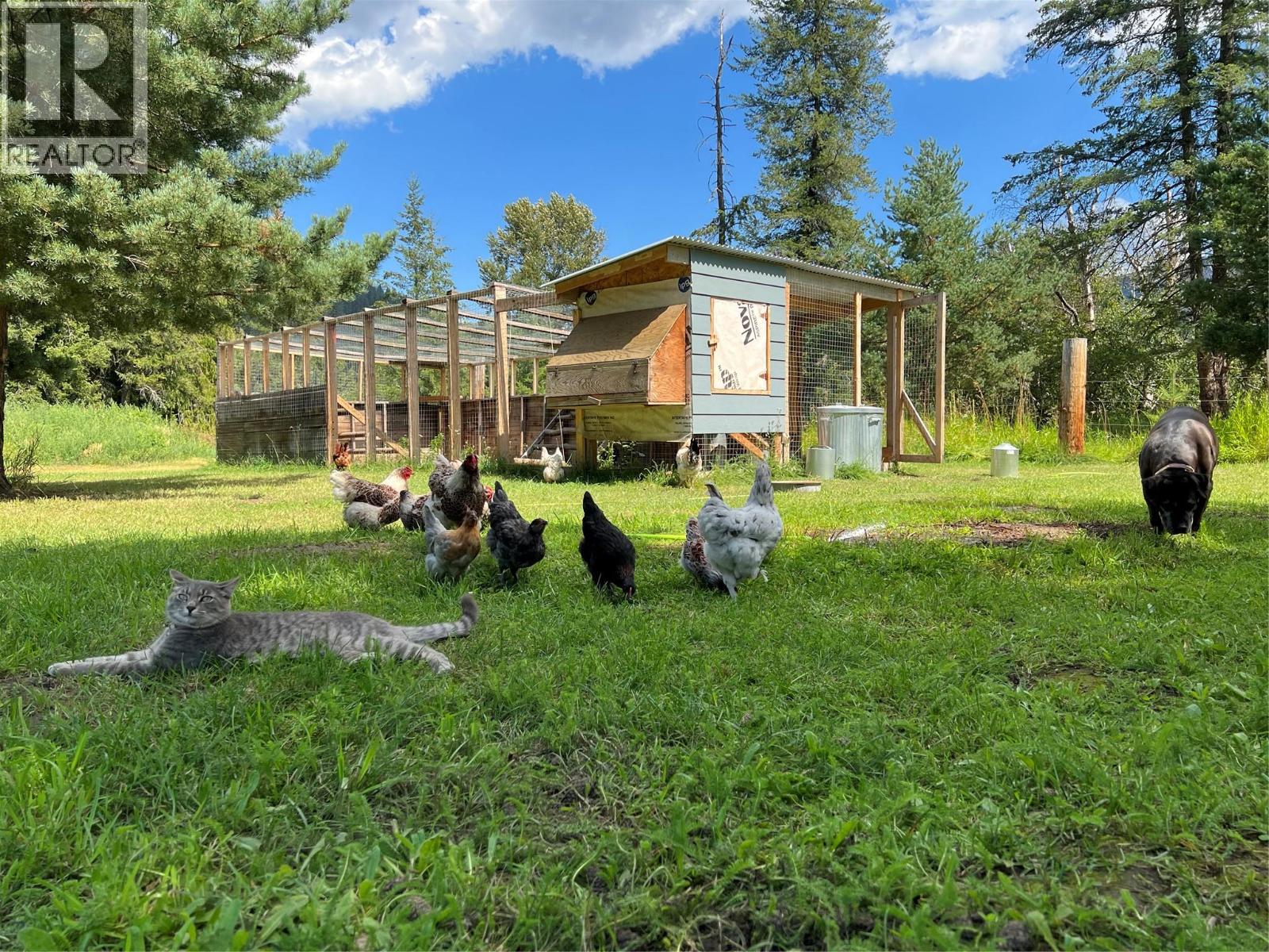 187 Sugar Lake Road, Cherryville, British Columbia  V0E 2G2 - Photo 3 - 10377960