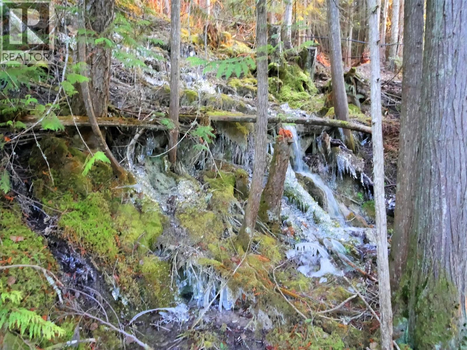 483 Bayview Road, Nakusp, British Columbia  V0G 1R2 - Photo 10 - 10377895