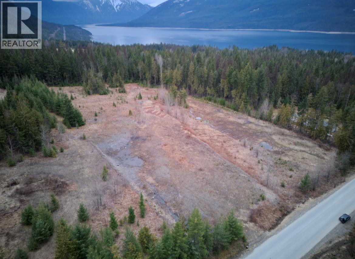 707 Billings Road, Nakusp, British Columbia  V0G 1R1 - Photo 1 - 10365187