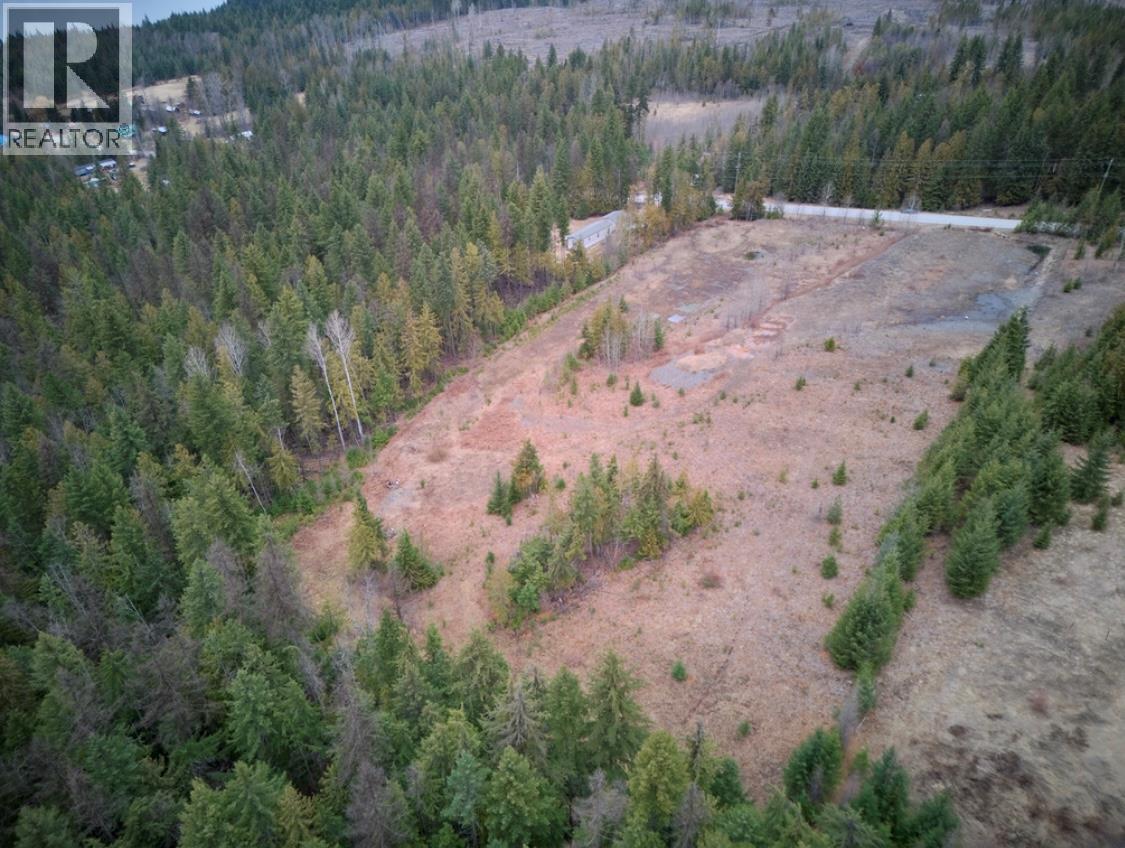 707 Billings Road, Nakusp, British Columbia  V0G 1R1 - Photo 10 - 10365187