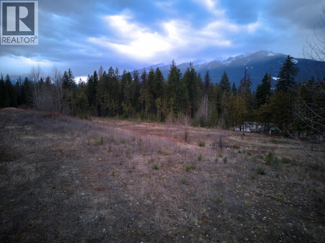 707 Billings Road, Nakusp, British Columbia  V0G 1R1 - Photo 11 - 10365187