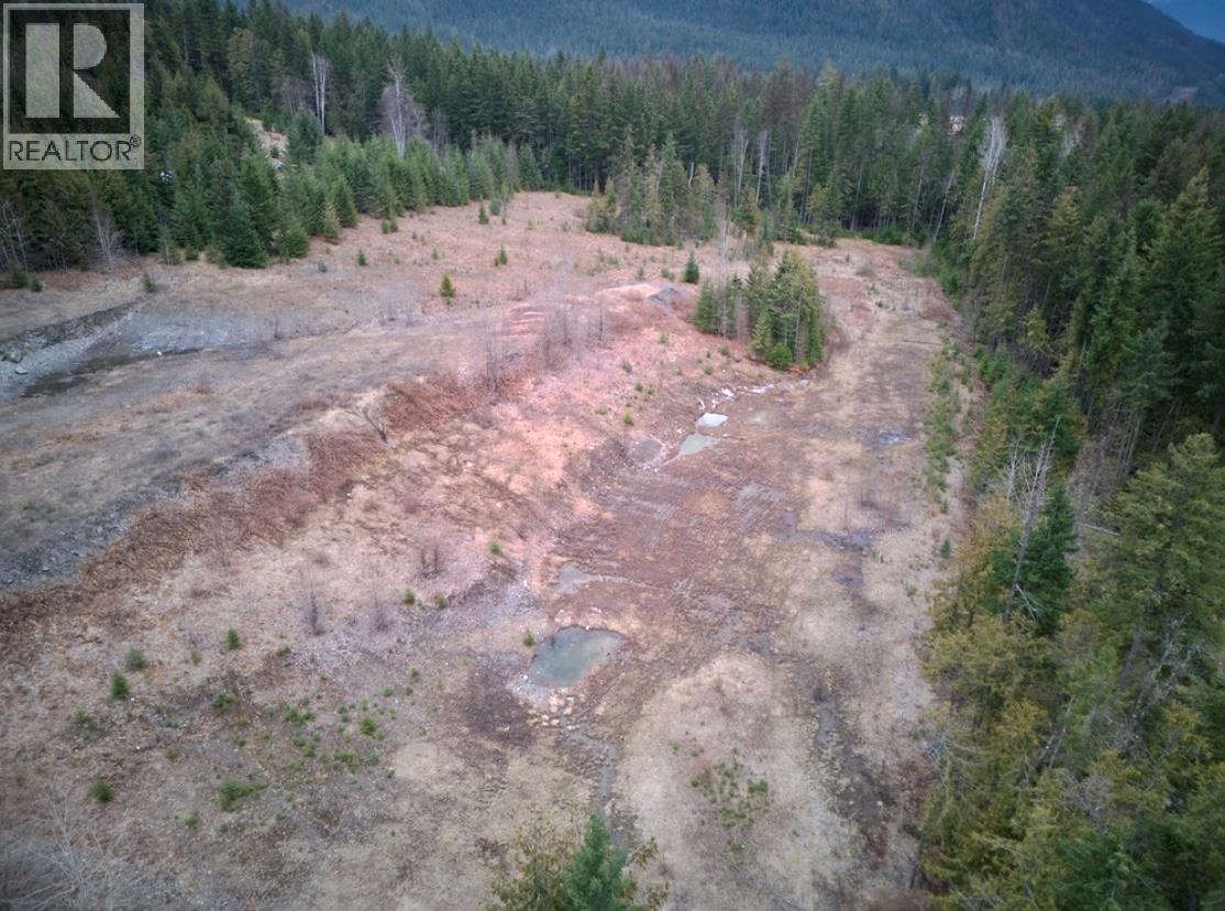 707 Billings Road, Nakusp, British Columbia  V0G 1R1 - Photo 5 - 10365187