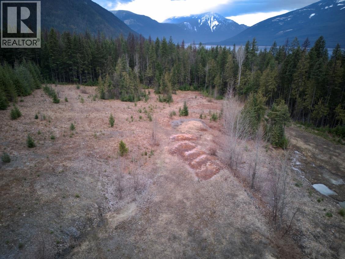 707 Billings Road, Nakusp, British Columbia  V0G 1R1 - Photo 6 - 10365187