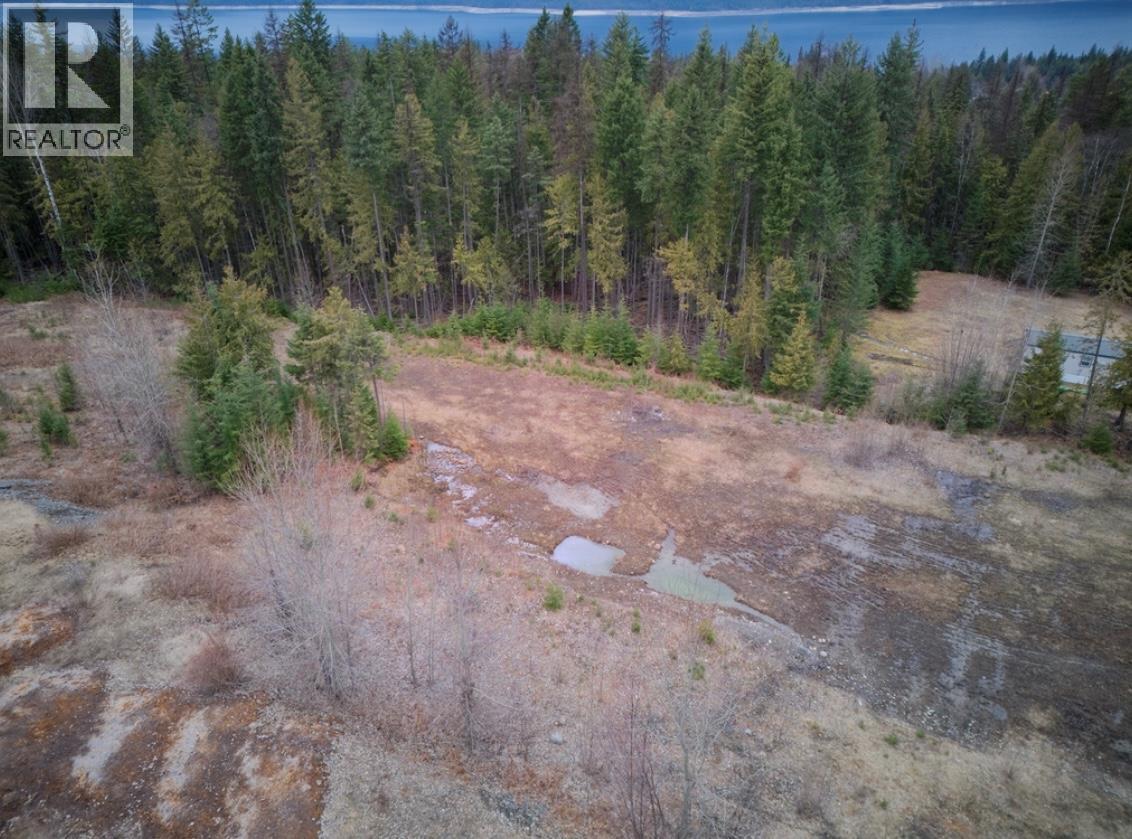 707 Billings Road, Nakusp, British Columbia  V0G 1R1 - Photo 7 - 10365187