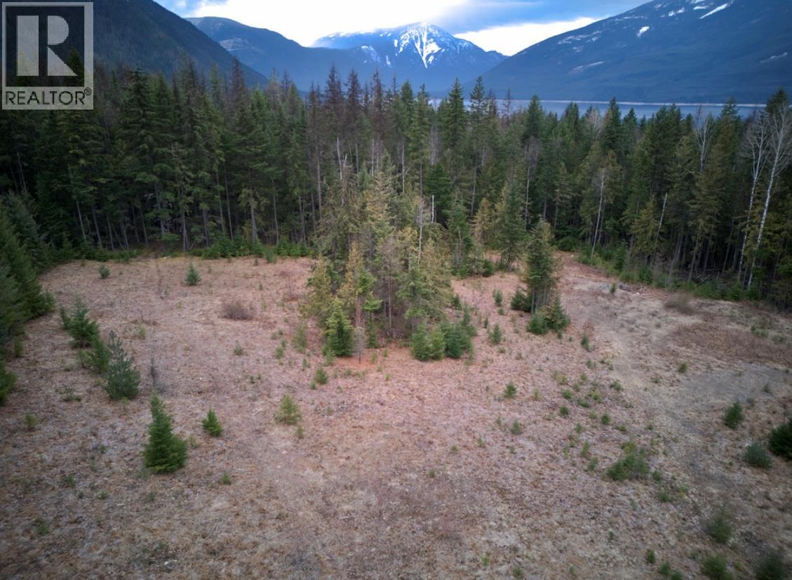 707 Billings Road, Nakusp, British Columbia  V0G 1R1 - Photo 8 - 10365187