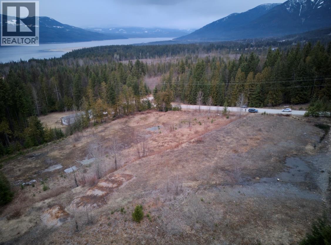 707 Billings Road, Nakusp, British Columbia  V0G 1R1 - Photo 9 - 10365187