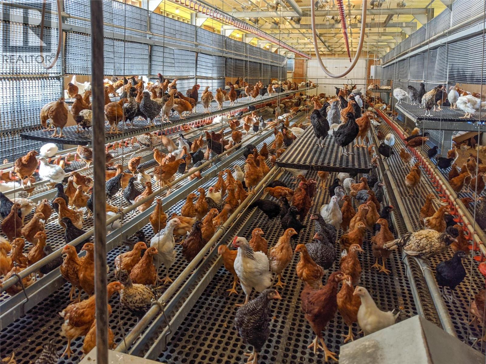 4780 Sleepy Hollow Road, Spallumcheen, British Columbia  V4Y 0T8 - Photo 6 - 10378019