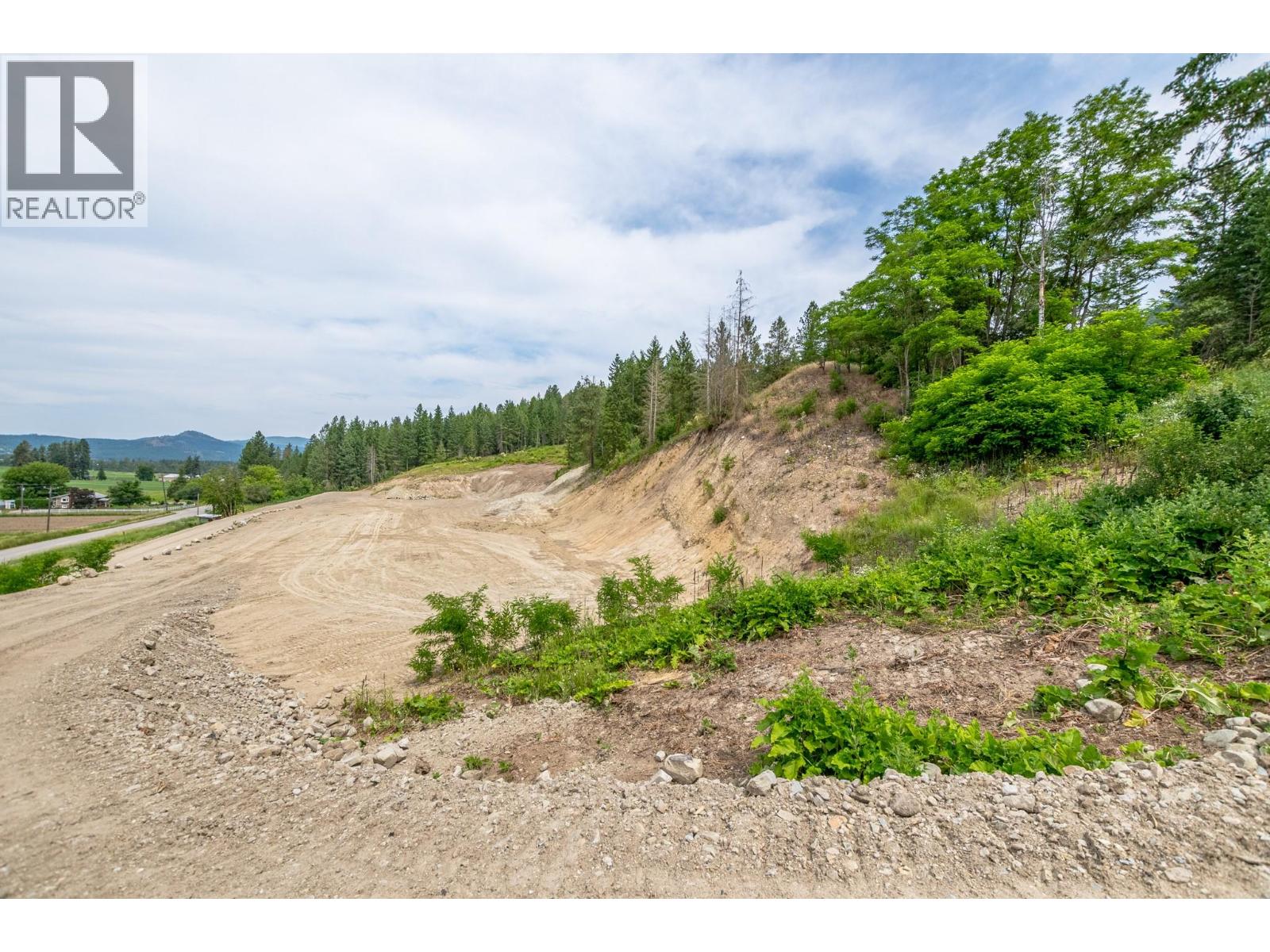 229 Enderby Grindrod Road, Enderby, British Columbia  V0E 1V4 - Photo 10 - 10377712