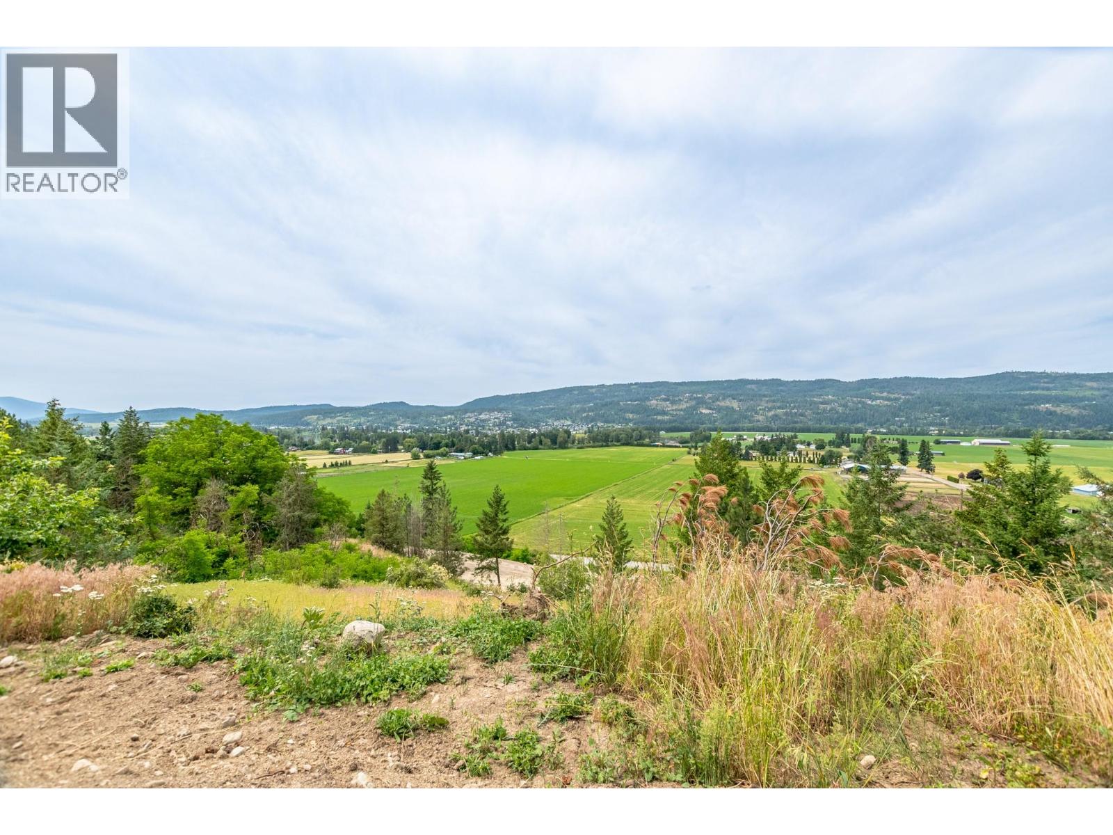 229 Enderby Grindrod Road, Enderby, British Columbia  V0E 1V4 - Photo 3 - 10377712