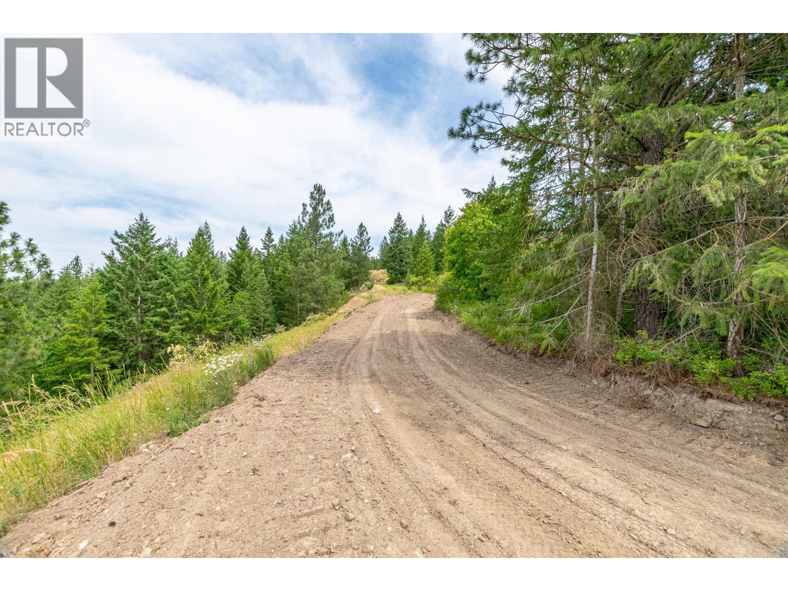 229 Enderby Grindrod Road, Enderby, British Columbia  V0E 1V4 - Photo 4 - 10377712