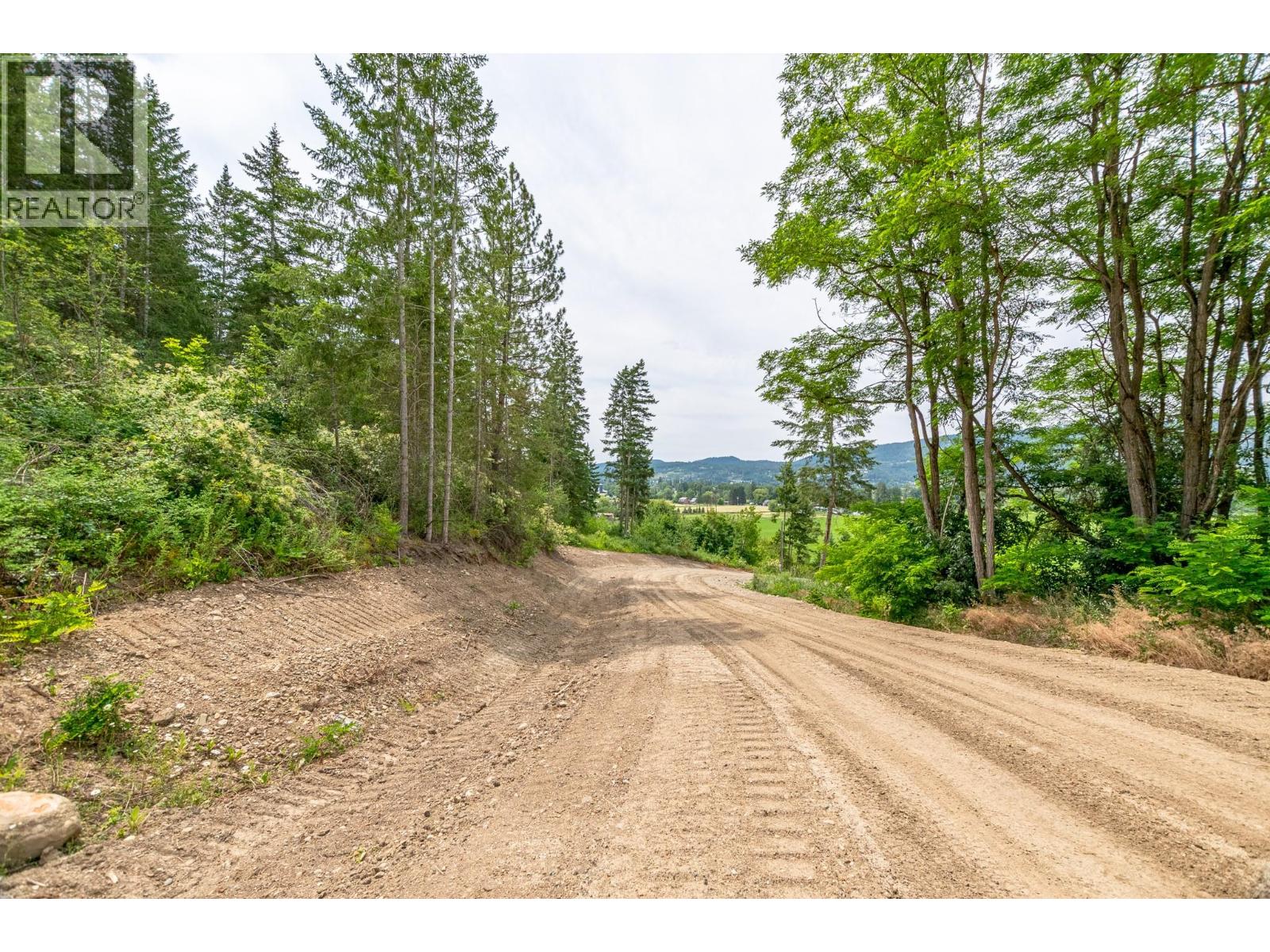 229 Enderby Grindrod Road, Enderby, British Columbia  V0E 1V4 - Photo 5 - 10377712