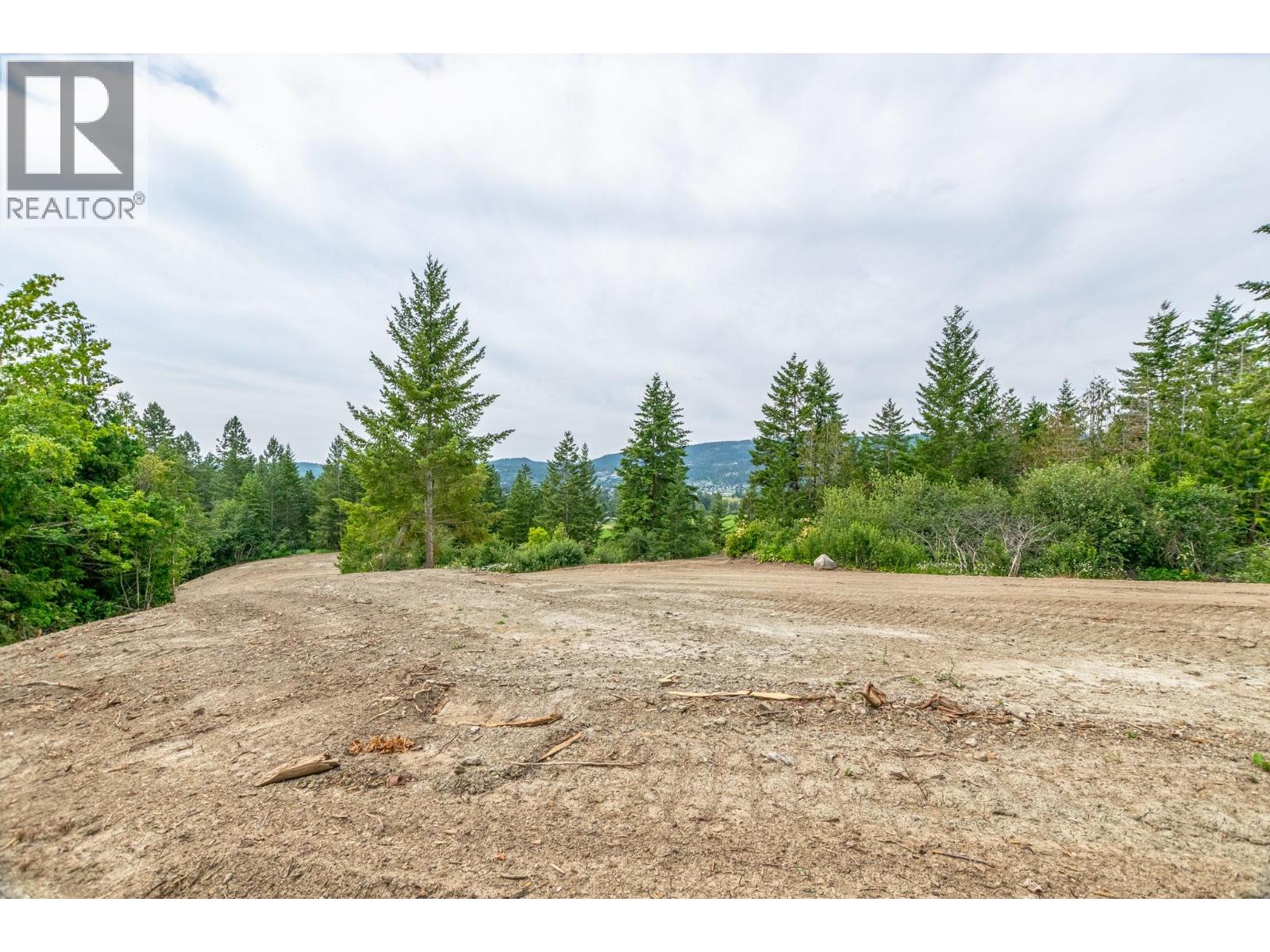 229 Enderby Grindrod Road, Enderby, British Columbia  V0E 1V4 - Photo 53 - 10377712