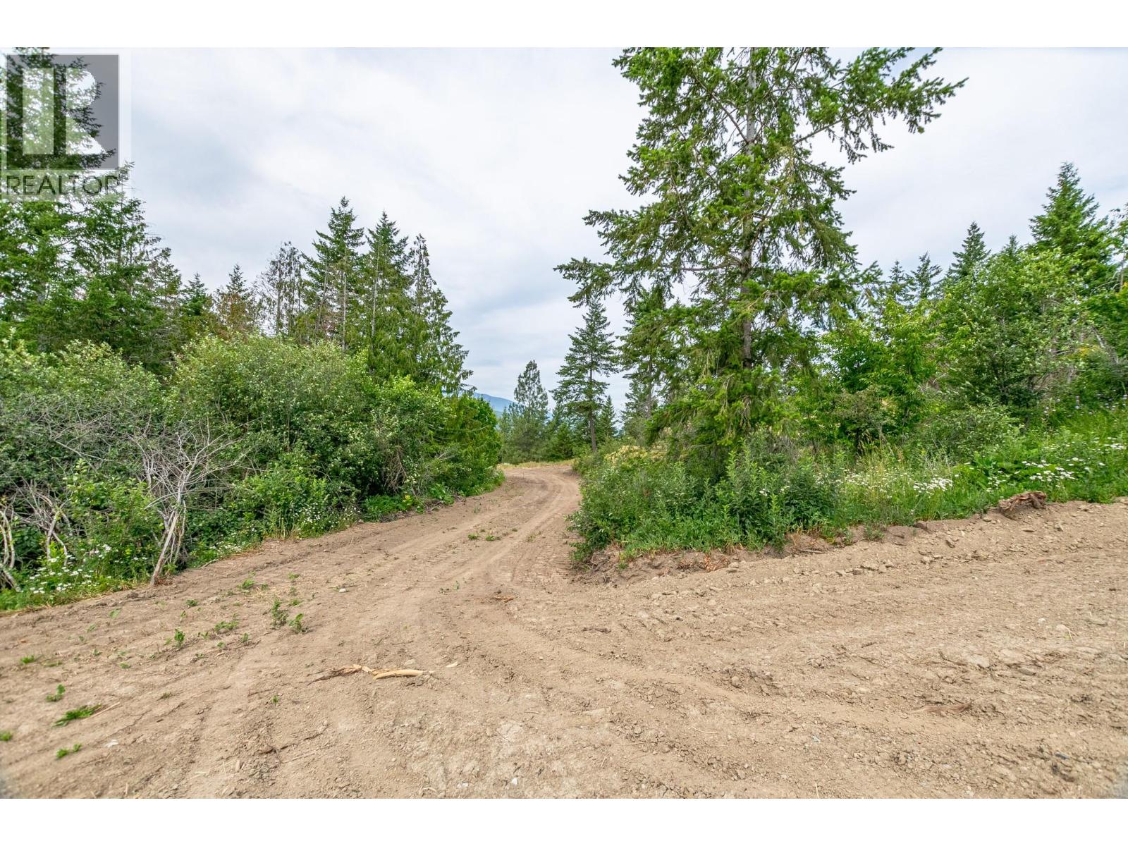 229 Enderby Grindrod Road, Enderby, British Columbia  V0E 1V4 - Photo 56 - 10377712